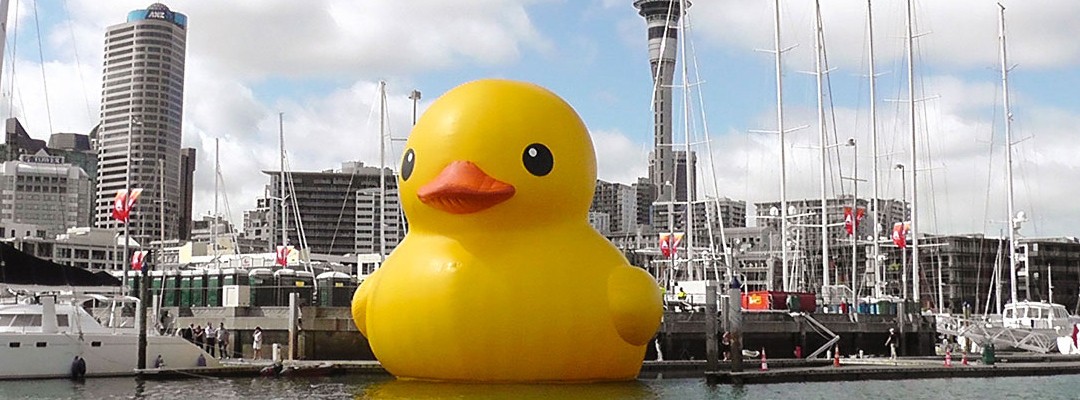 Rubber Duck Project