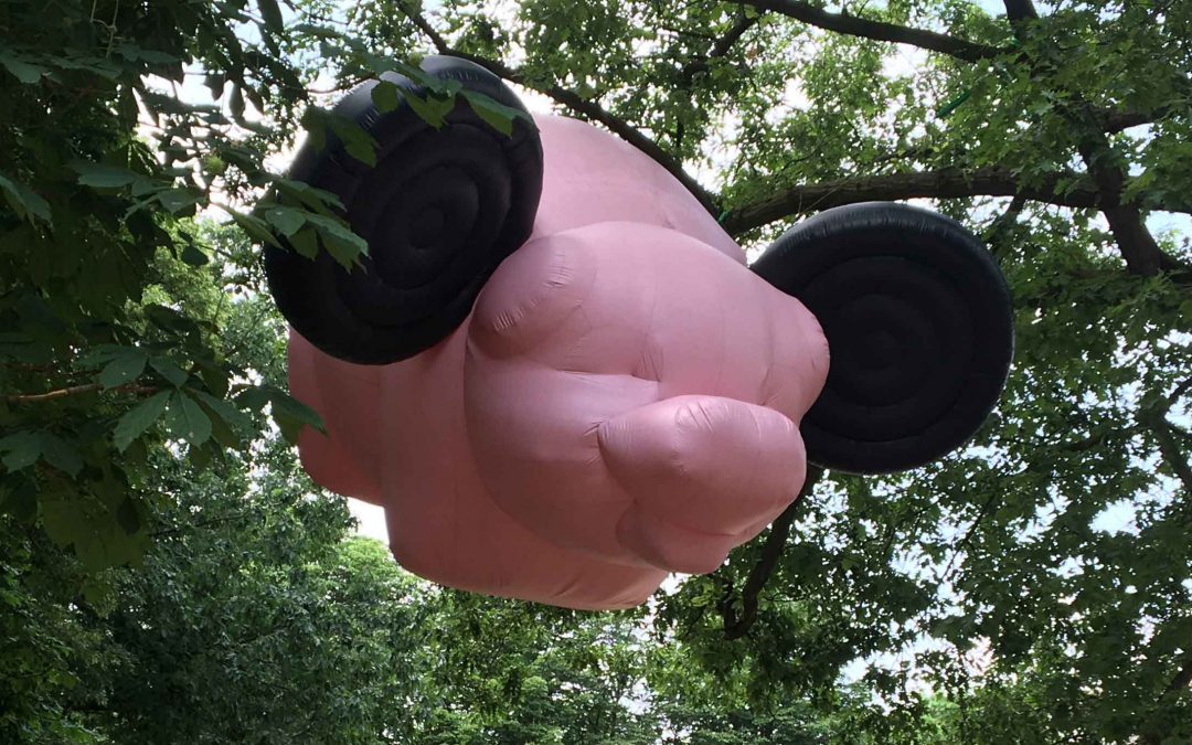 Mickey The Pig